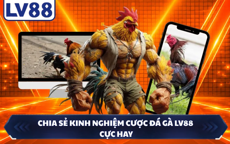 Chia sẻ kinh nghiệm cược đá gà LV88 cực hay