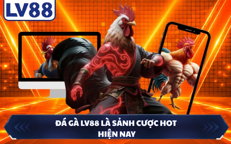 Đá gà LV88 là sảnh cược hot hiện nay